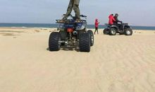 学雷锋，做好事_450字