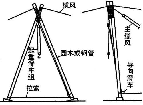 根_650字