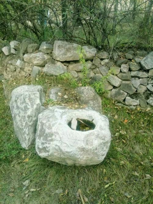 我的兄弟姐妹_1000字