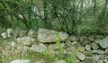 我的兄弟姐妹_1000字