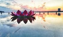 关于雨的作文：秋风秋雨想煞人_1200字