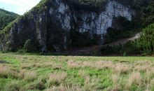 美丽的九龙山_400字