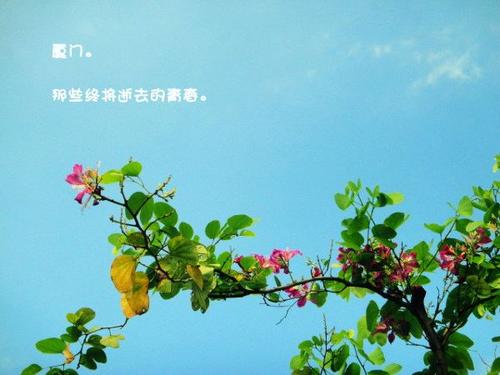 银色幻想_350字