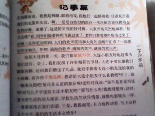 我最喜欢的小项目_400字