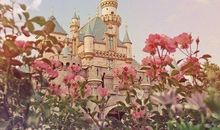 心灵的城堡_350字