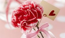 爱，带给我信念_700字