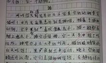 关于老师的作文：老师喝水_500字