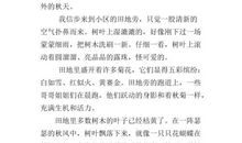 四年级日记：秋天的早晨_200字