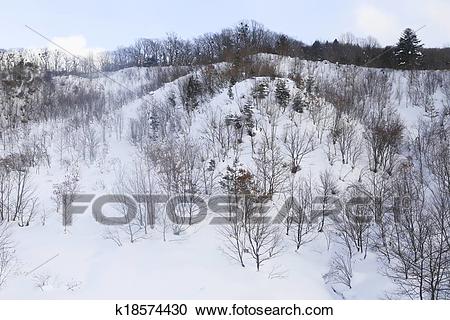冬季上海正在下雪_450字