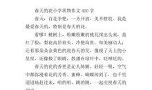 初二状物作文：牛奶盒回家记_750字