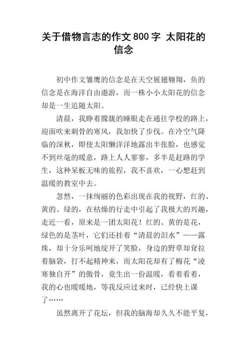 第一个双向组成：太阳花_750字