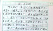 我的老师是棵大树_300字