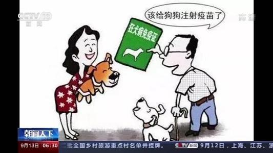 眼睛伤害急救措施