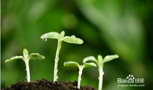 保护视力的4种锻炼方法