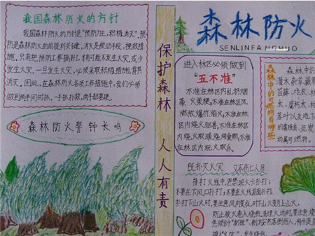 消防安全组成：心脏消防安全_550字