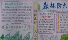 消防安全作文：心系消防安全_550字