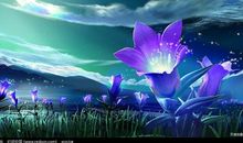 聆听大自然的声音_300字