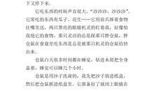 三年级状物作文：我的小仓鼠_350字