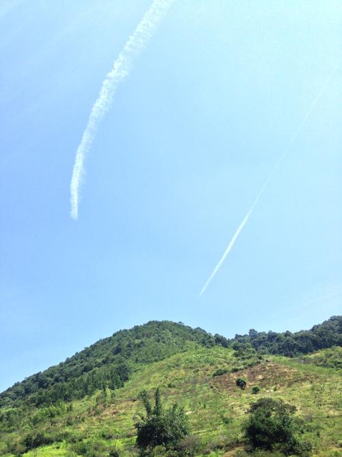 [2013年夏季论文]阅读“我的桌子是队长”_650字