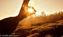 手中的阳光_1200字