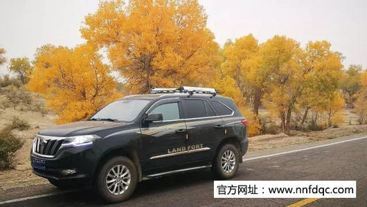我为自己的选择感到骄傲_900字