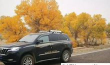 我为自己的选择骄傲_900字