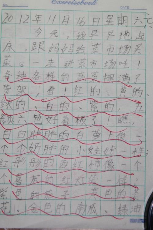 四年级日记：爱好带给我_300字
