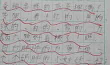 四年级日记：爱好给我带来快乐_300字