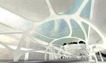 未来的桥_1200字