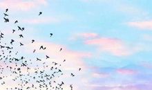 天空的心事_900字