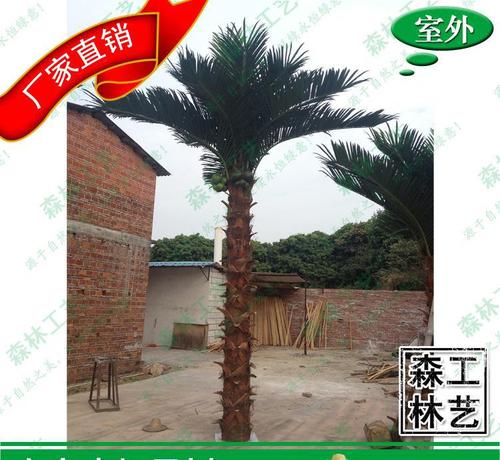 家乡椰子树_550字