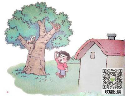 一年级组成看图片：拯救鸟_200字