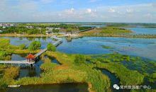 美丽的溱湖_350字