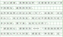 关于大年的作文：大年的作文_500字
