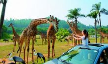 [7月渴望]我渴望到长隆乐园玩_400字