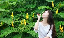 窗外那一抹绿色，撩人心扉_450字