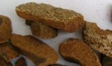 “惠安神香木”沉香木_800字