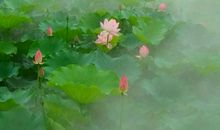 我心目中的桃花源_300字