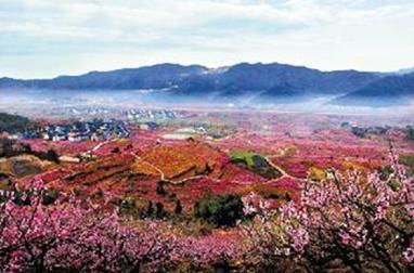 我心中的桃花源_750字