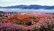 我心中的桃花源_750字