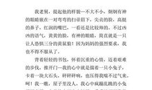 关于真诚的作文：真诚对待朋友_350字