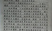 关于真诚的作文：真诚_900字