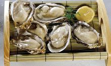 西店牡蛎_1200字