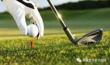 享受你缓慢而优雅地成长_650字