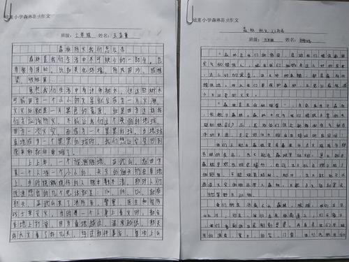 我和消防队员在一起：我和火_700字