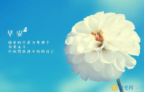 珍惜所有_800字的幸福