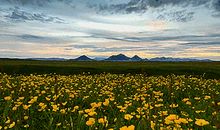 做最好的自己，才能碰见最好的别人