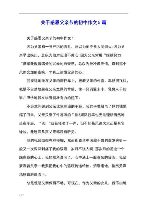 关于父亲节：平原和真实的触摸：我的父亲_2000字