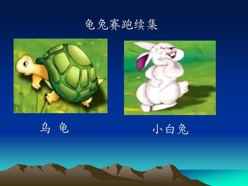 乌龟愤怒赛车“持续”_500字