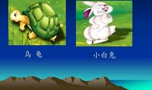 龟兔赛跑《续集》_500字